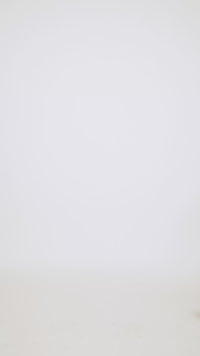 T-shirt MASHA (Rose) organic cotton - White