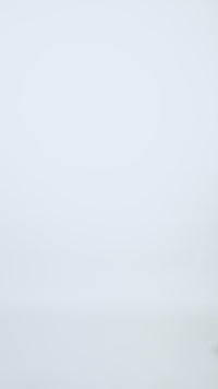 Organic Cotton Knit Sweater COLE - Camel