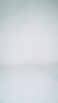 Organic Cotton Longsleeve REUBEN - White